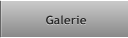 Galerie Galerie